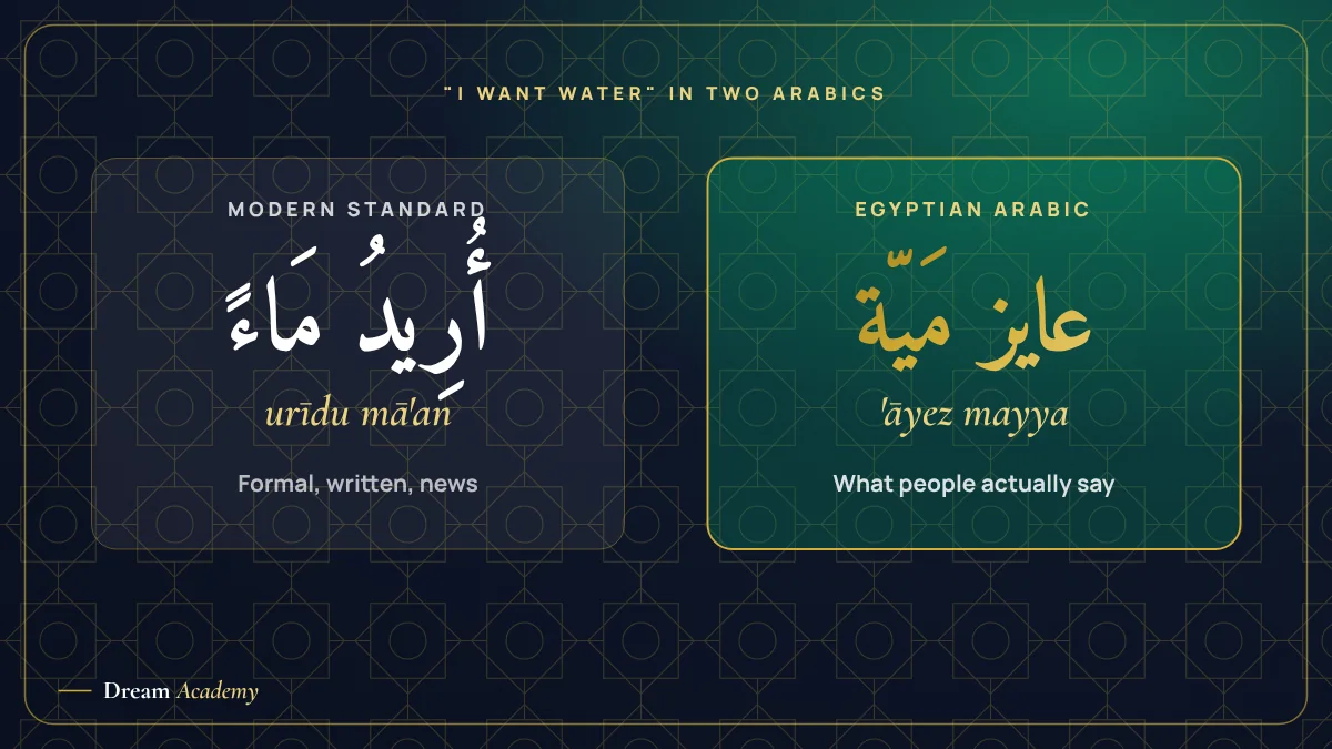 Side-by-side card showing "I want water" in Modern Standard Arabic and in Egyptian Arabic
